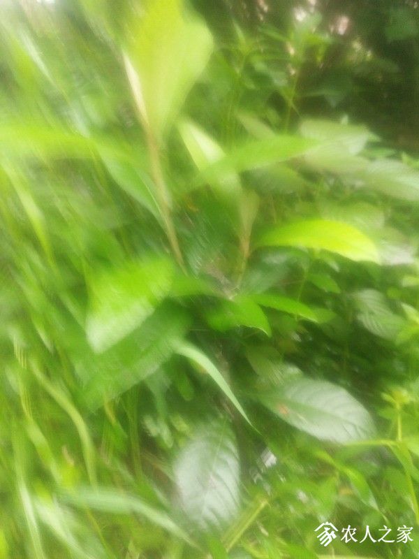 IMG_20190609_092251_СС.jpg