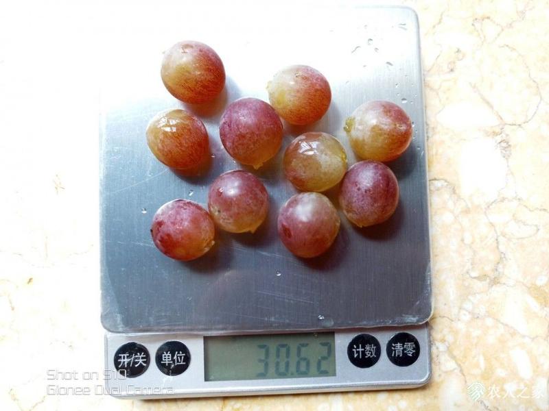QQͼƬ20190710105728.jpg