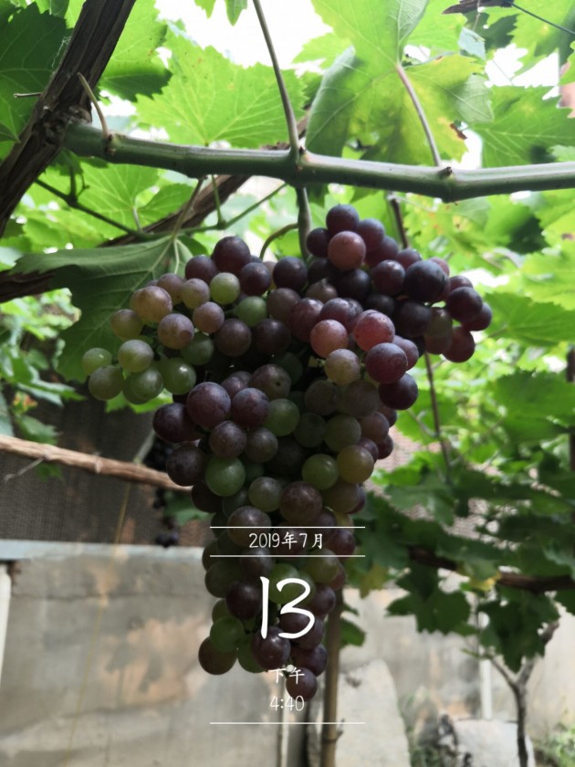 QQͼƬ20190713173153.jpg