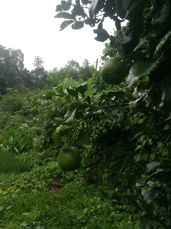 IMG_20190707_183551_СС.jpg