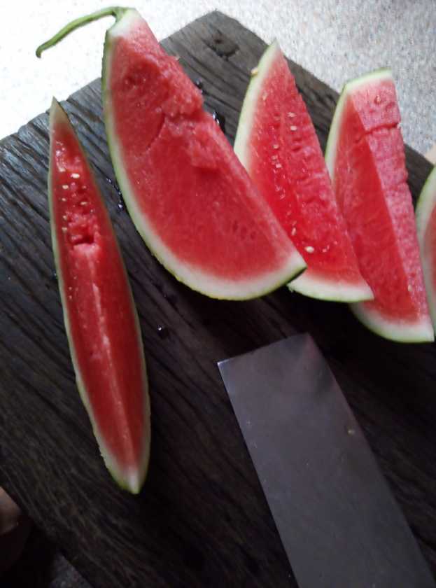 IMG_20190714_155335.jpg