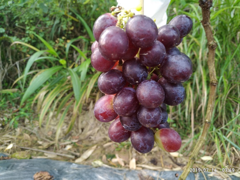 P90714-074956_1.jpg