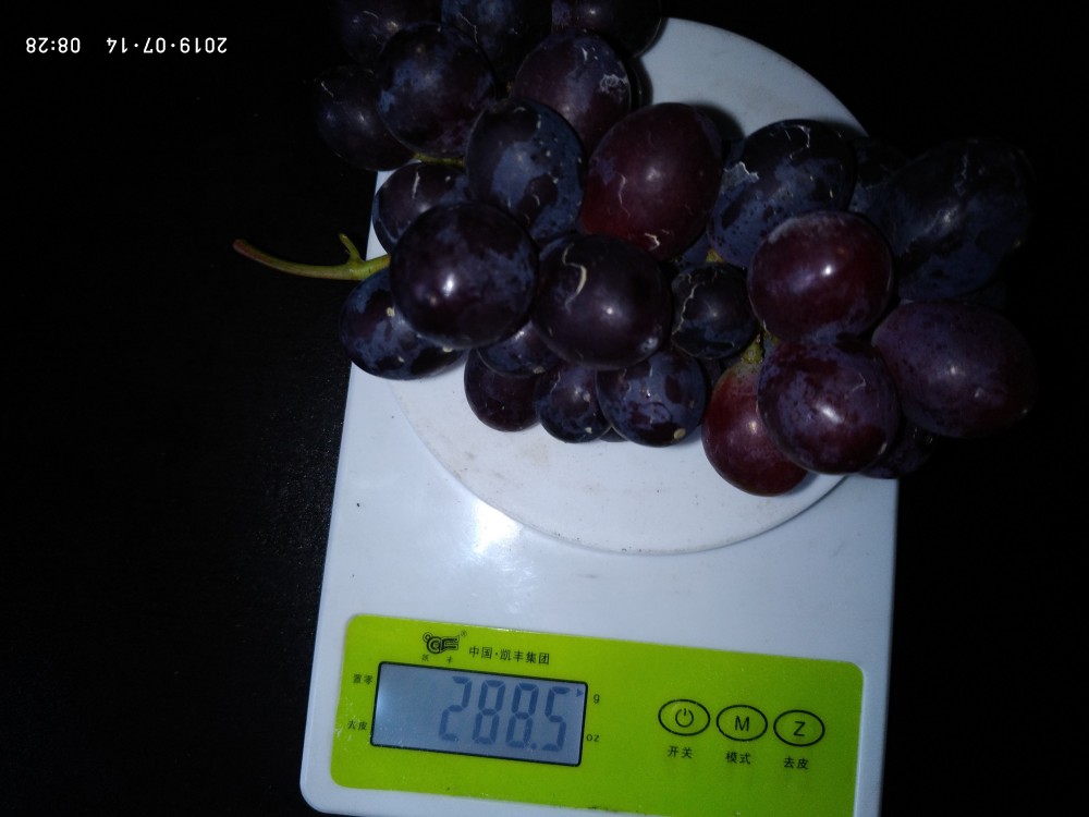 P90714-082844.jpg