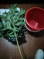 IMG_20190712_225650.jpg.JPG