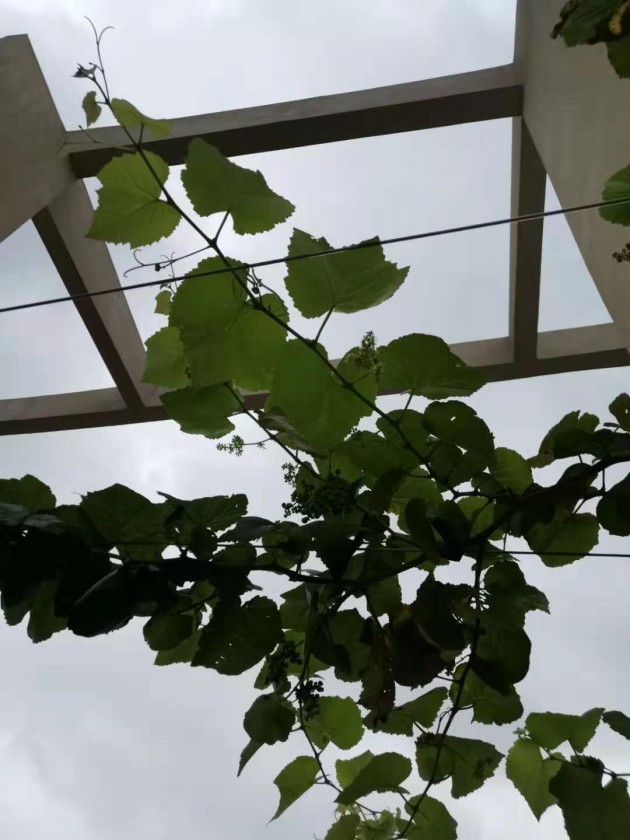 ΢ͼƬ_20190712102656.jpg