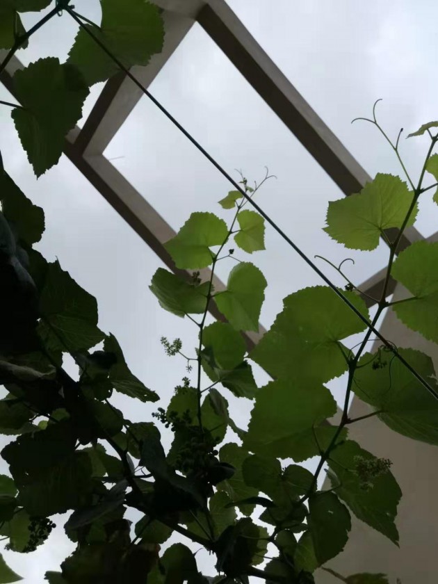 ΢ͼƬ_20190712102731.jpg