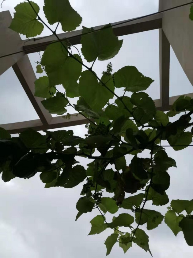 ΢ͼƬ_20190712102740.jpg
