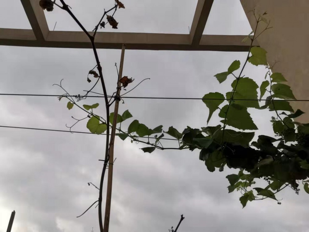 ΢ͼƬ_20190712102743.jpg
