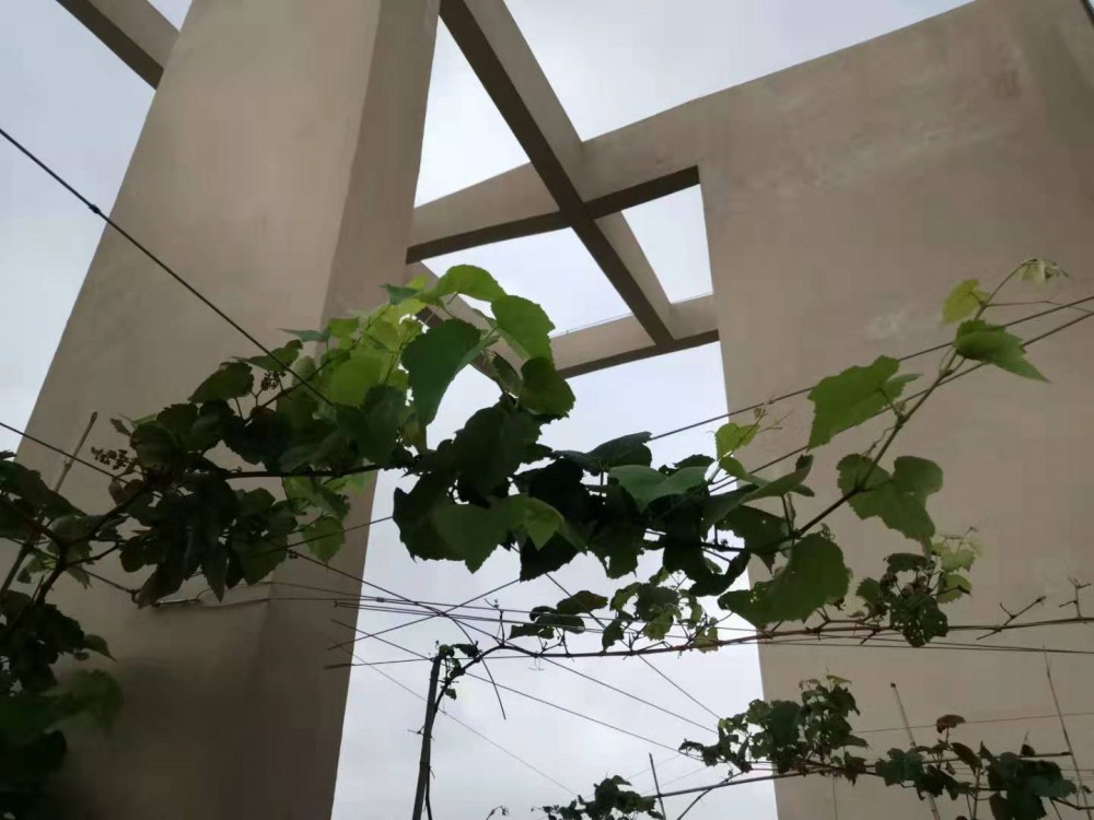 ΢ͼƬ_20190712102750.jpg
