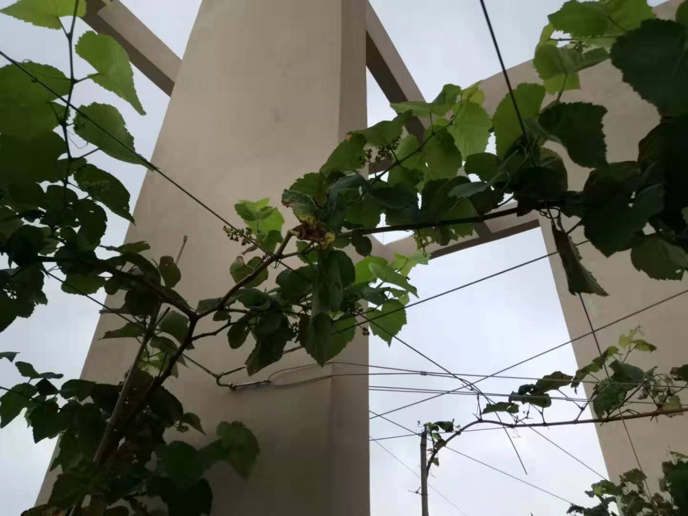 ΢ͼƬ_20190712102754.jpg