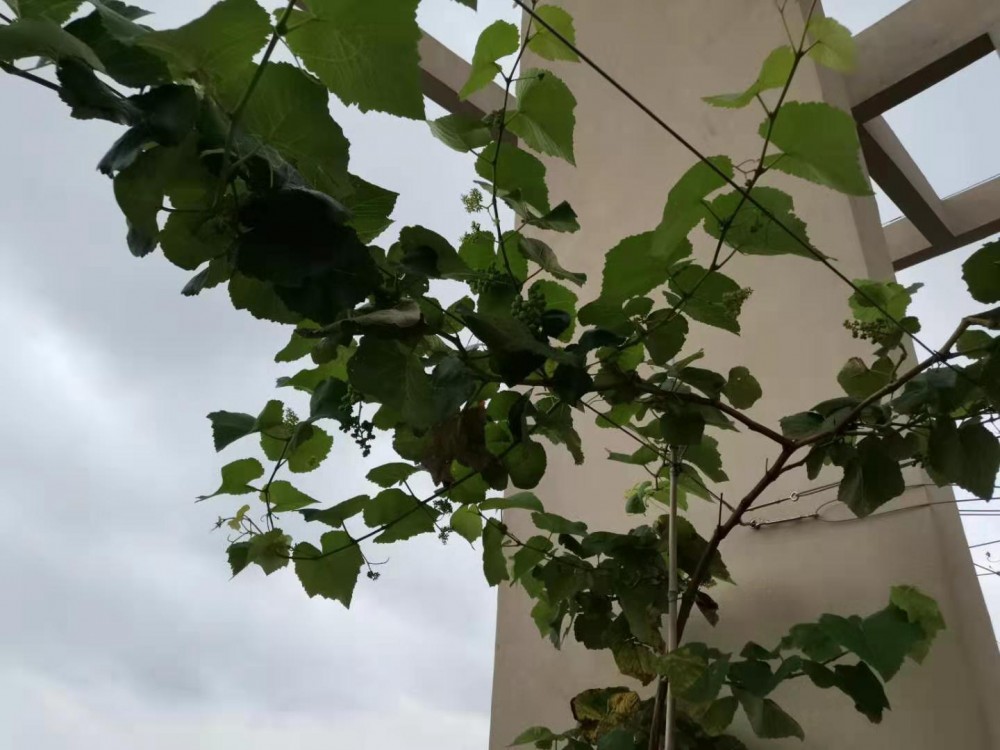 ΢ͼƬ_20190712102759.jpg