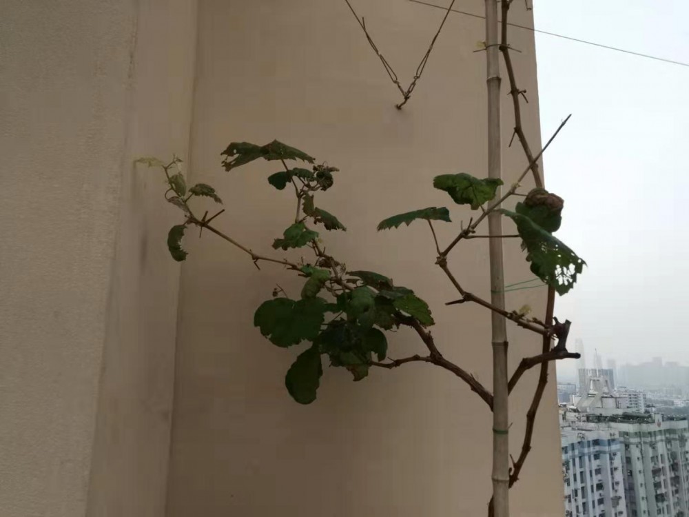 ΢ͼƬ_20190717173733.jpg