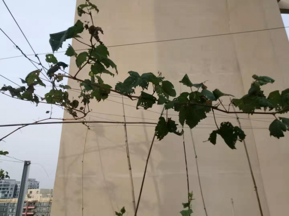 ΢ͼƬ_20190717173752.jpg