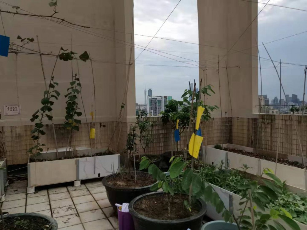 ΢ͼƬ_20190723131520.jpg