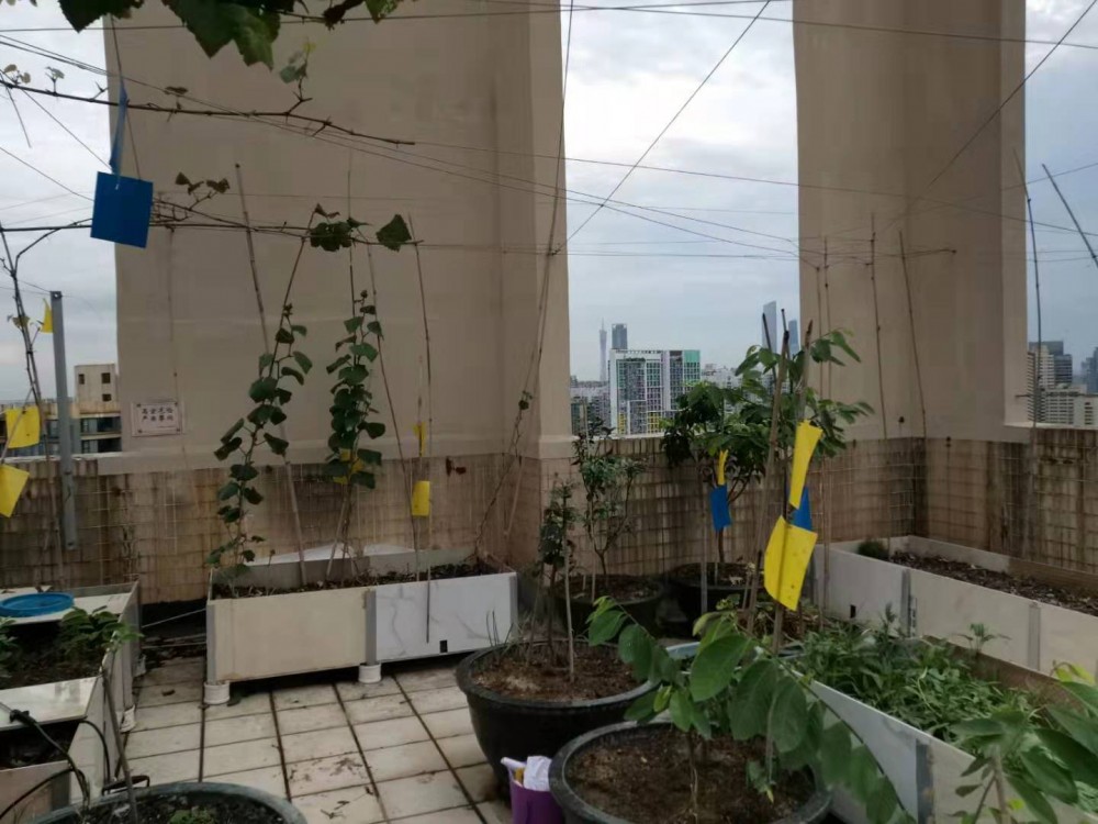 ΢ͼƬ_20190723131524.jpg