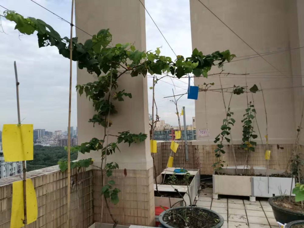 ΢ͼƬ_20190723131528.jpg
