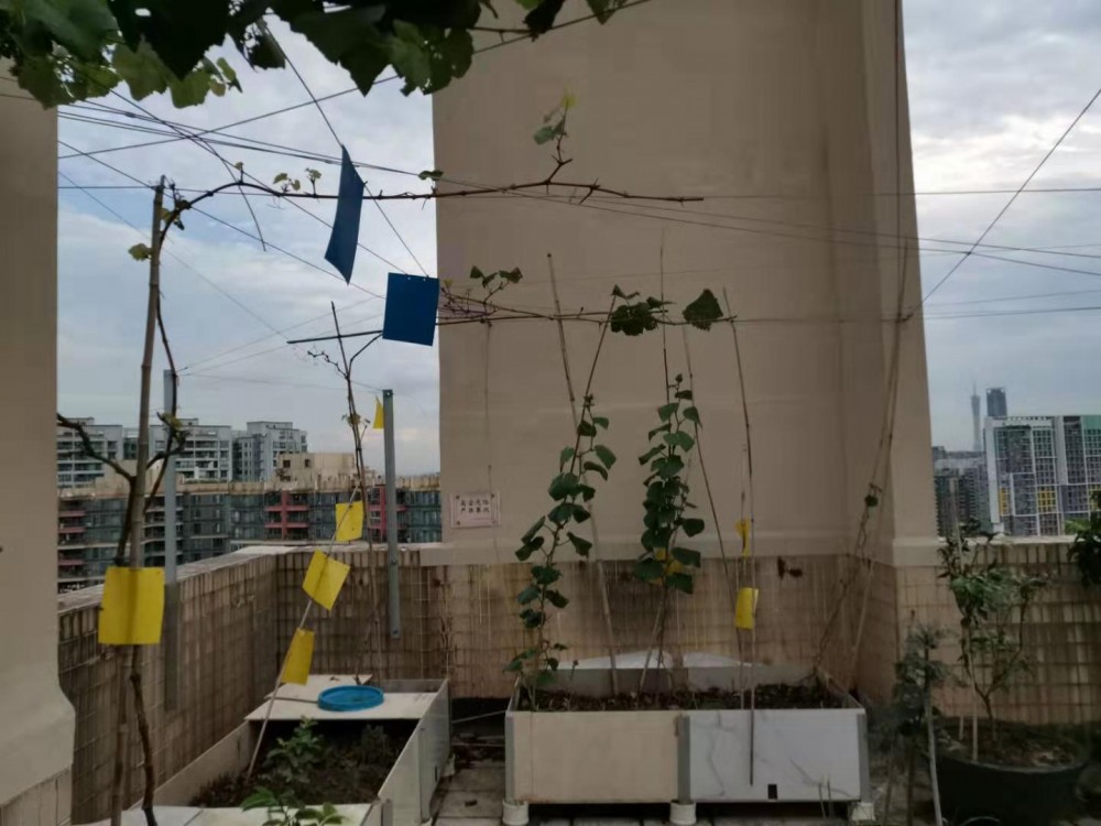 ΢ͼƬ_20190723131533.jpg
