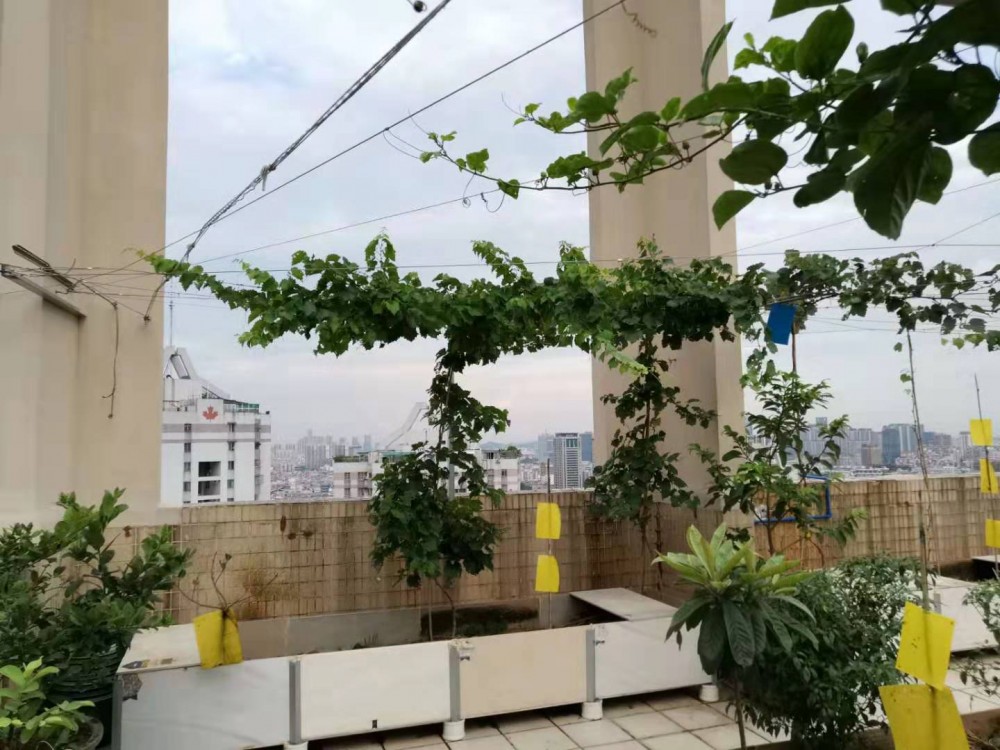 ΢ͼƬ_20190723131547.jpg