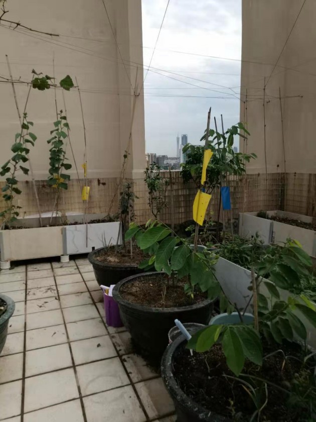 ΢ͼƬ_20190723131619.jpg
