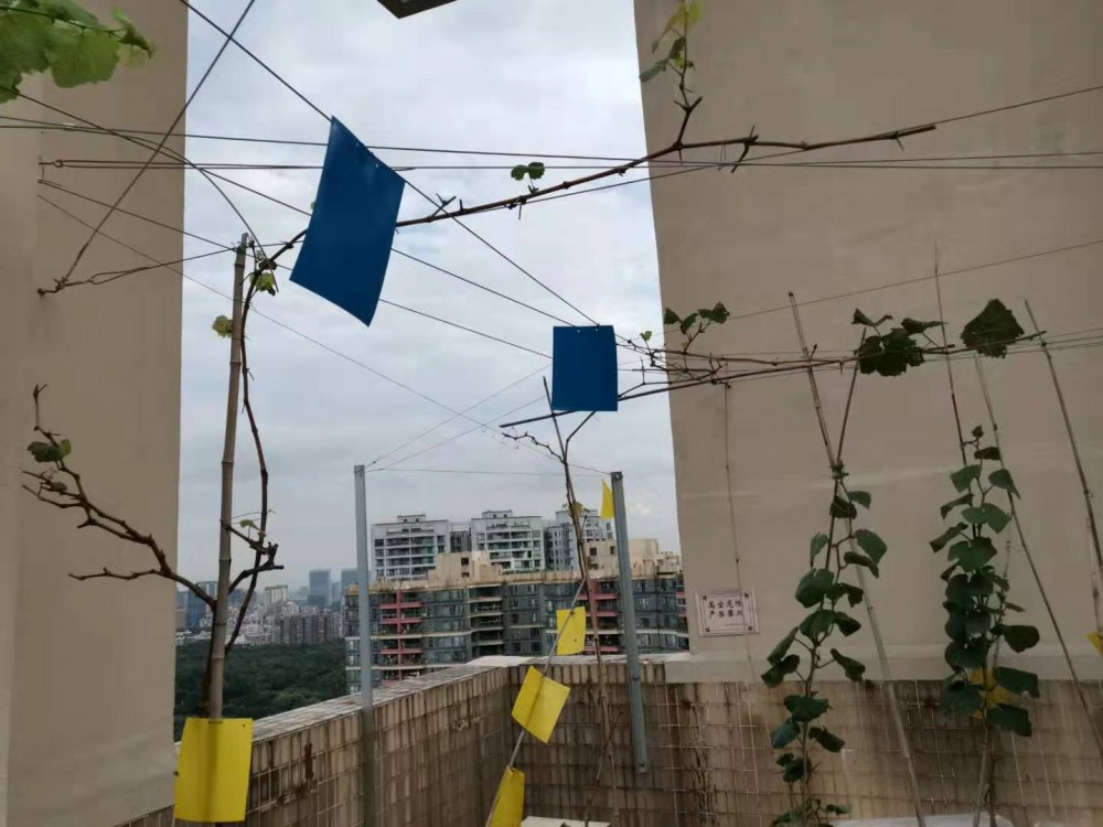 ΢ͼƬ_20190723131640.jpg