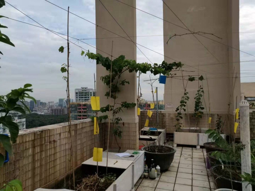 ΢ͼƬ_20190723131647.jpg