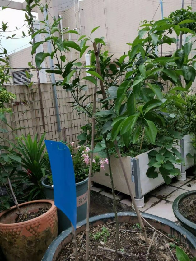 ΢ͼƬ_20190723131508.jpg