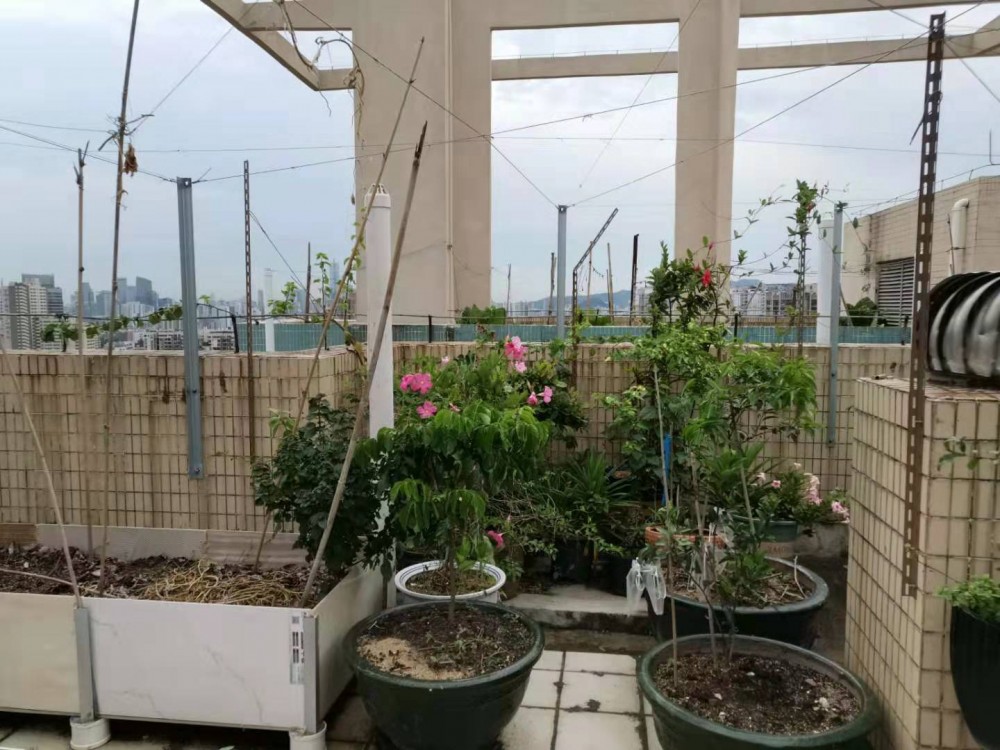 ΢ͼƬ_20190723131601.jpg
