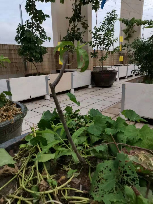 ΢ͼƬ_20190723131614.jpg