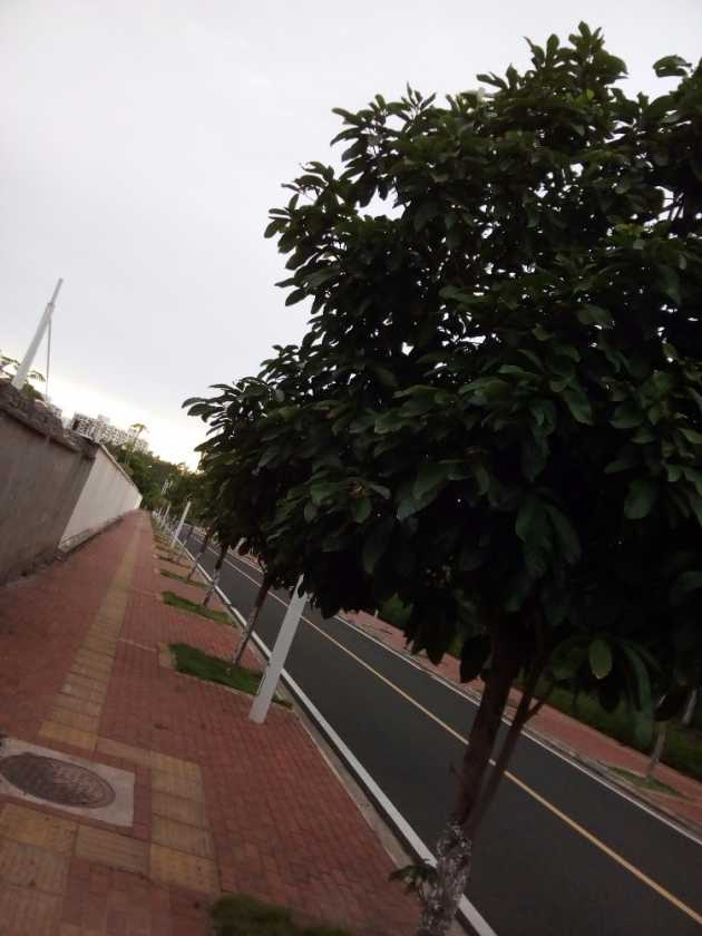 IMG_20190723_182959.jpg