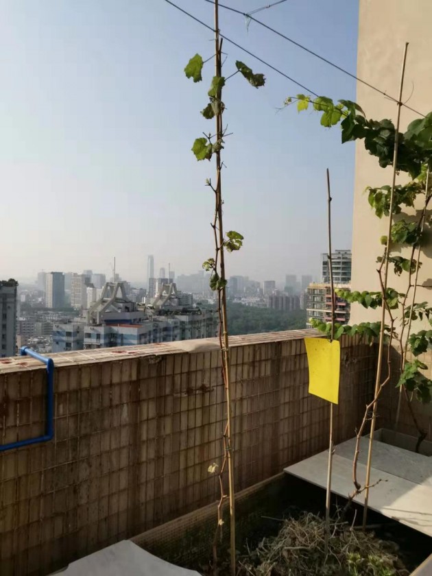 ΢ͼƬ_20190719093844.jpg