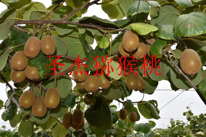 ����_08.JPG