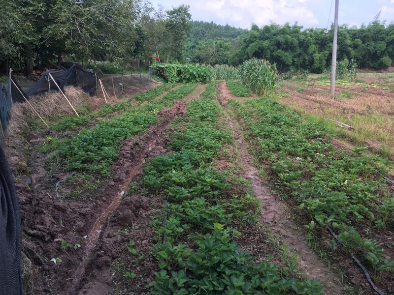 ΢��ͼƬ_20190730144341.jpg