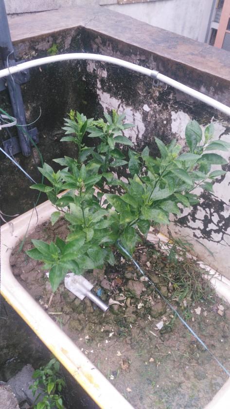 ΢��ͼƬ_20190801225753.jpg