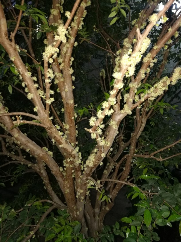 IMG_20190213_183504.jpg