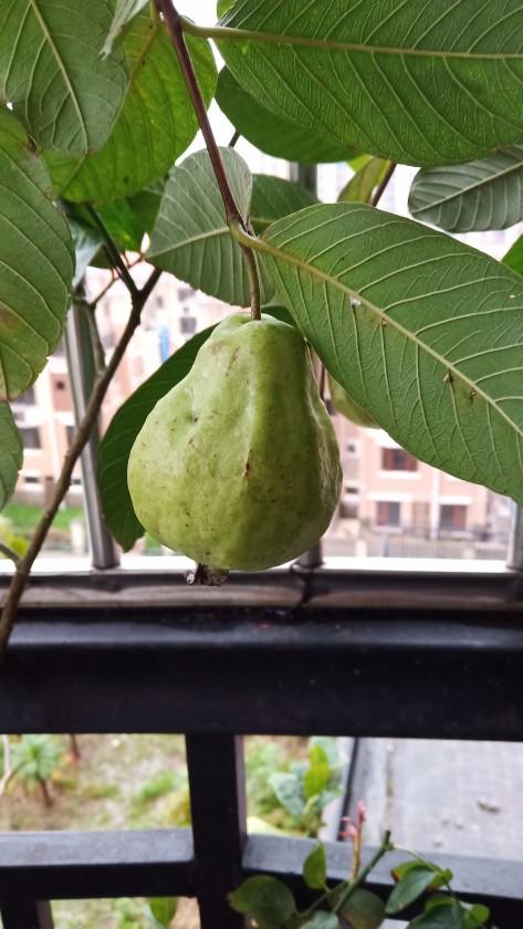 IMG_20190803_184336.jpg