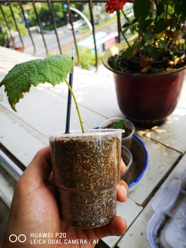 ΢ͼƬ_20190809155608.jpg