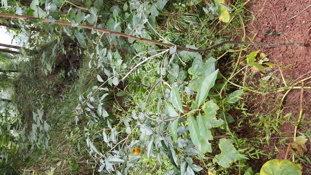 20181013_162029.jpg