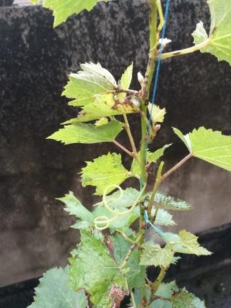 IMG_20190810_091910.jpg