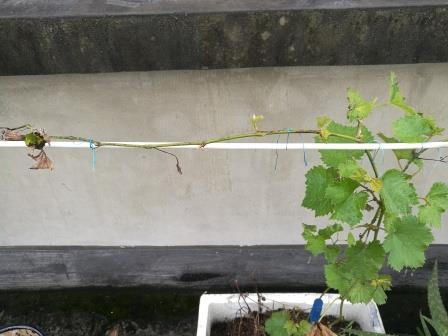 IMG_20190810_091932.jpg