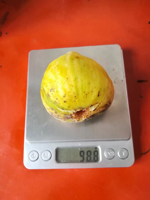 ΢ͼƬ_20190814205155.jpg