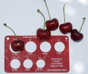 cherry_royalhelen.jpg