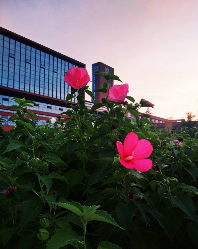 ɫ20190819152924.jpg