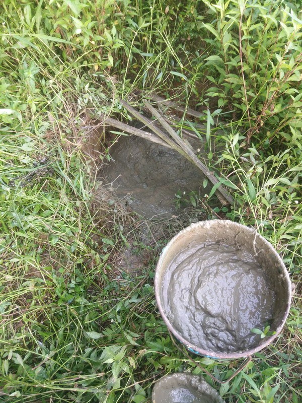 IMG_20190803_082133_СС.jpg
