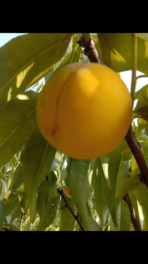 ��*O_20190821_162605.png