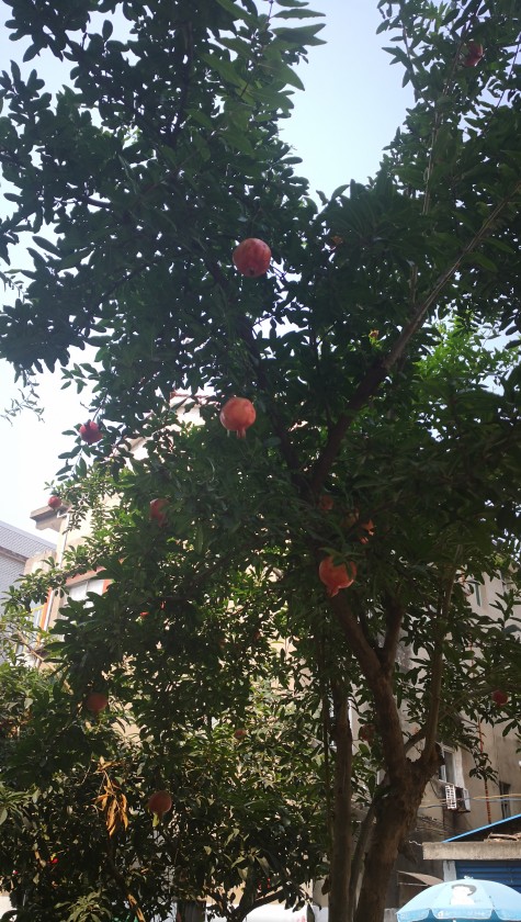 ΢ͼƬ_20190825111959.jpg