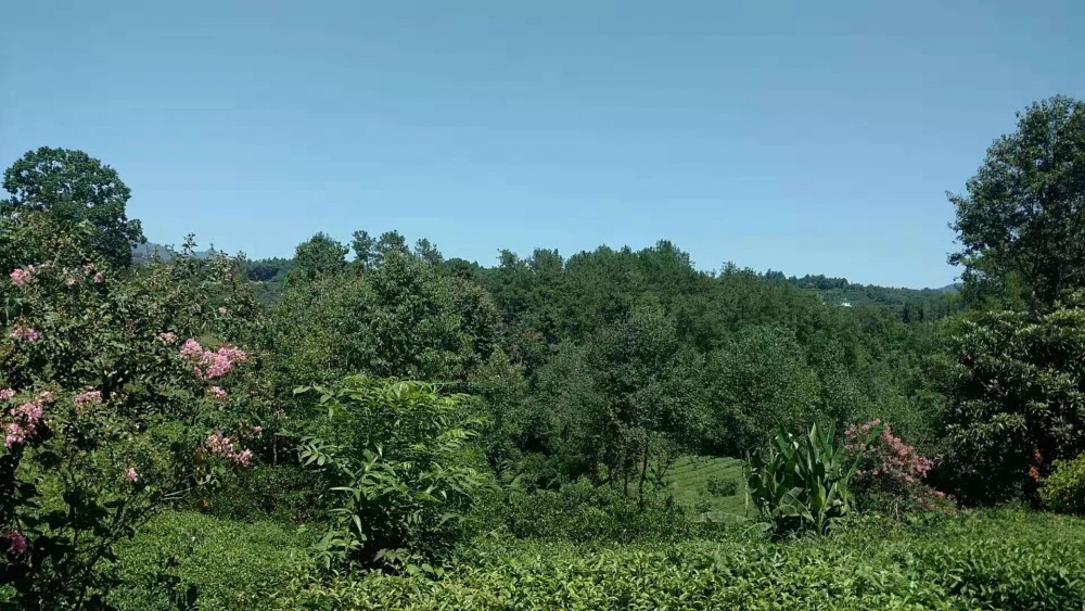 ΢ͼƬ_20190830115213.jpg