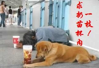 һ֦.JPG