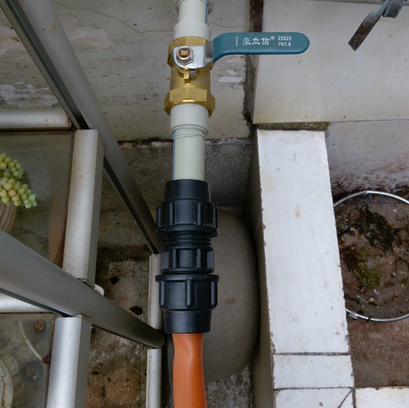 IMAG0968.jpg