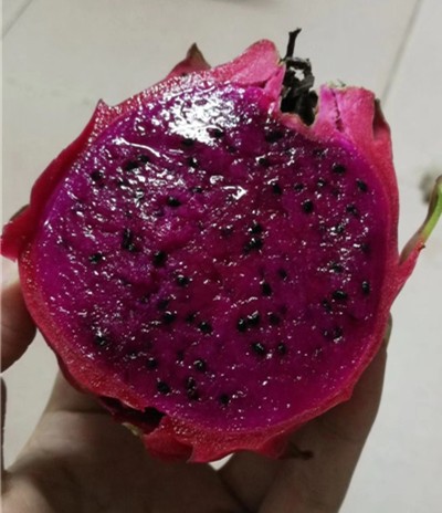 20190826120040.jpg