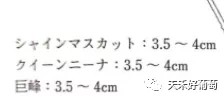 5.webp.jpg